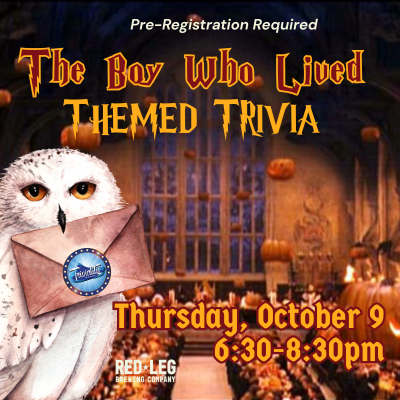 Harry Potter Great Hall and owl holding letter